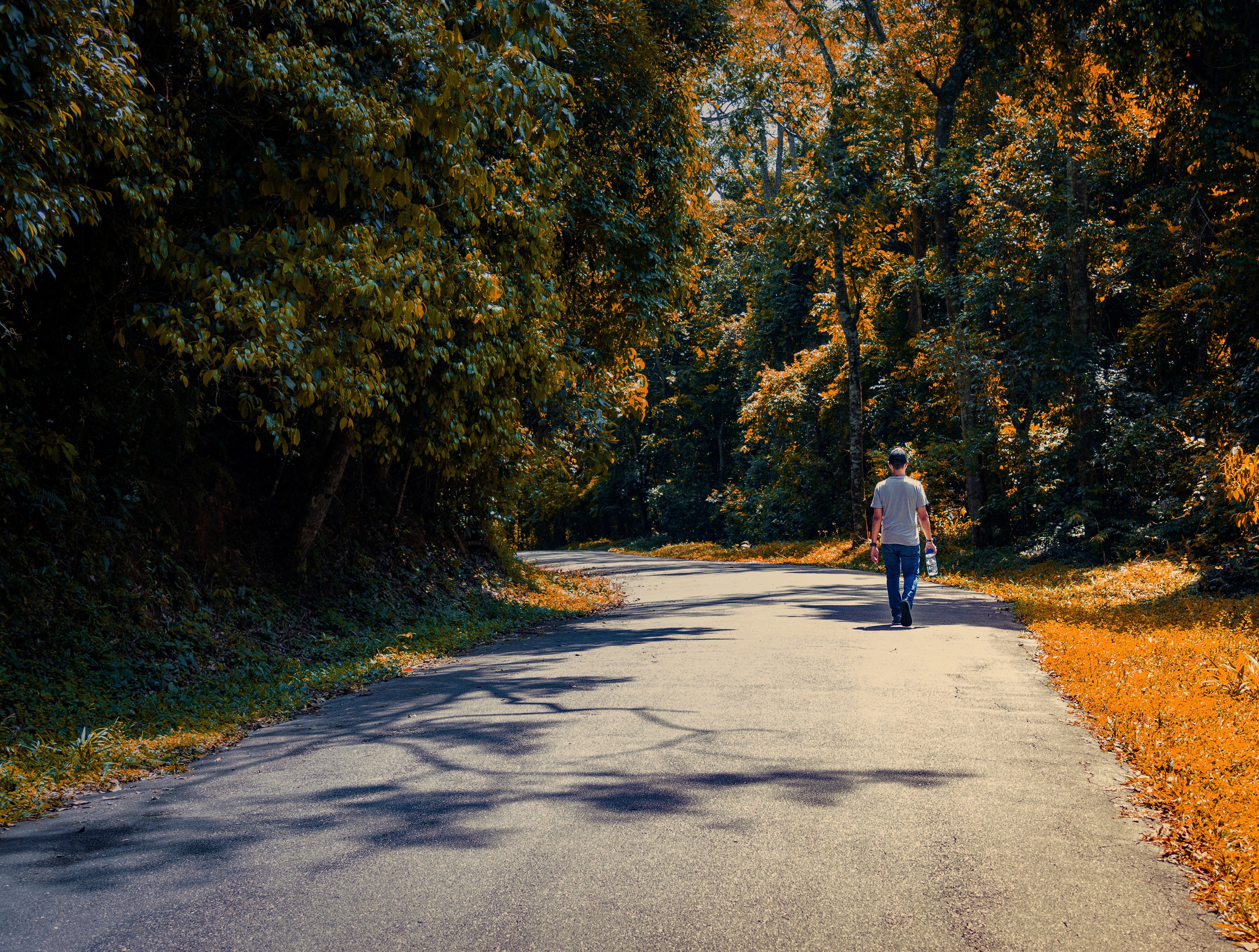 Visita à Torre Euromast